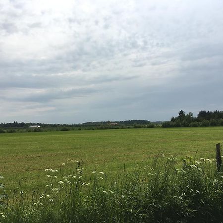 Skovhuset Villa Uggerby Exteriör bild